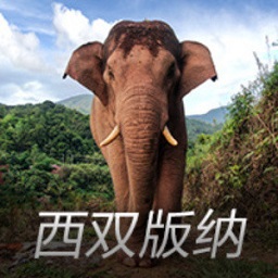 72岁赵雅芝暴汗照曝光！脖子青筋像爬满蚯蚓，儿子搀扶冲线